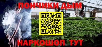 крисы Лесосибирск