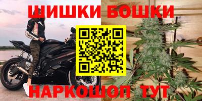 крисы Лесосибирск