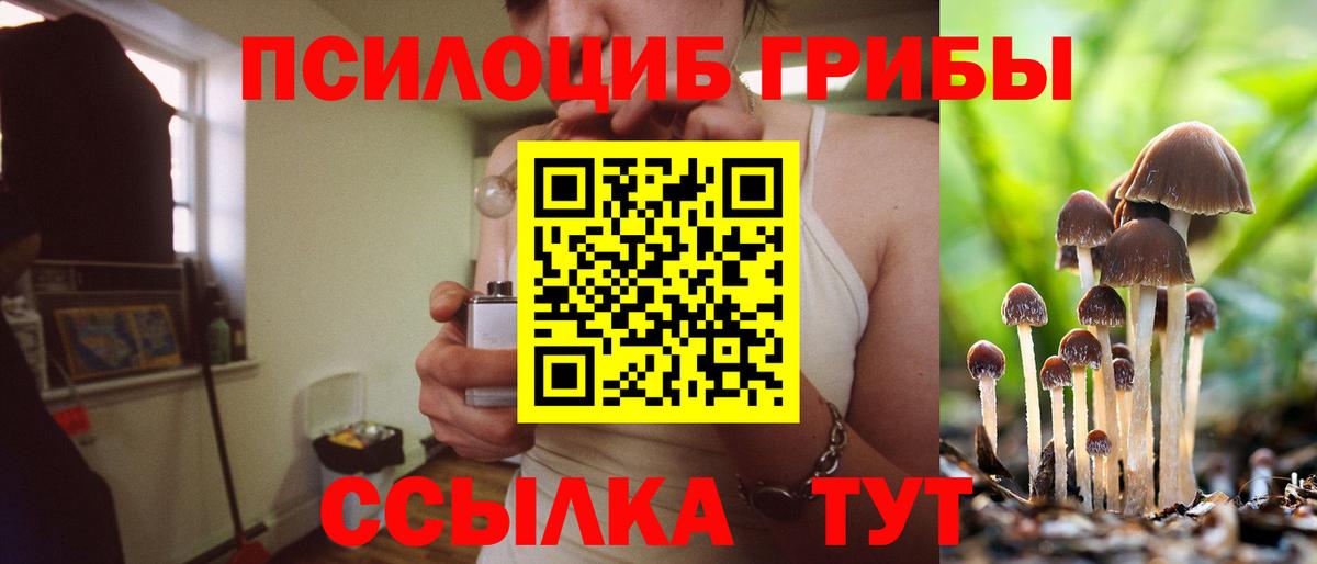 Псилоцибиновые грибы MAGIC MUSHROOMS  Вход с VPN  как найти закладки  Губаха 